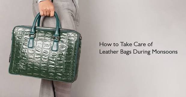 Monsoon Handbag Care India